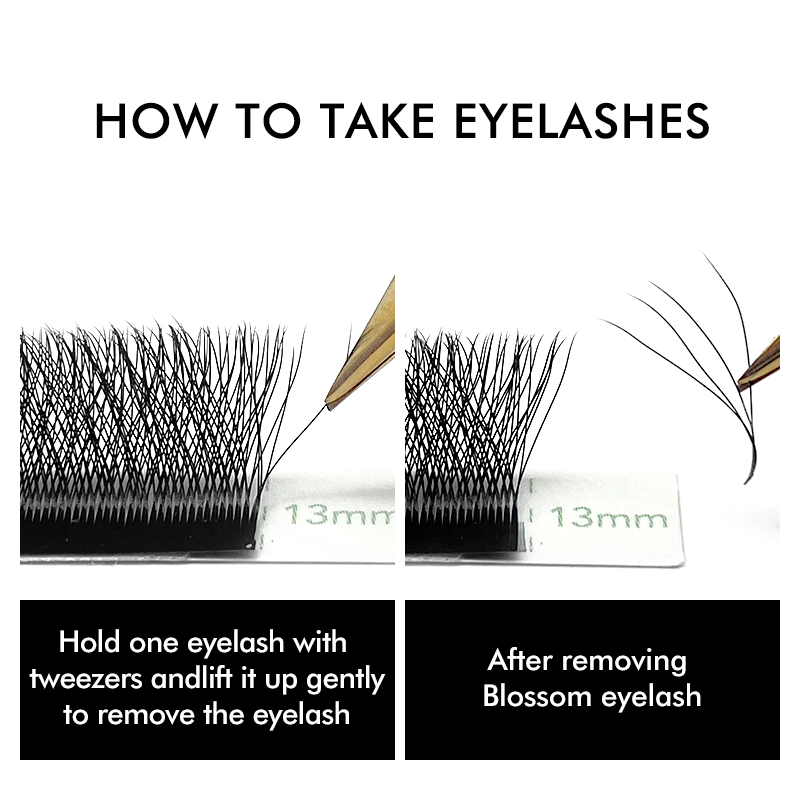 3D 4D 5D 6D W Shaped Clover Ey - Eyelash Extension Russian 评论和价格